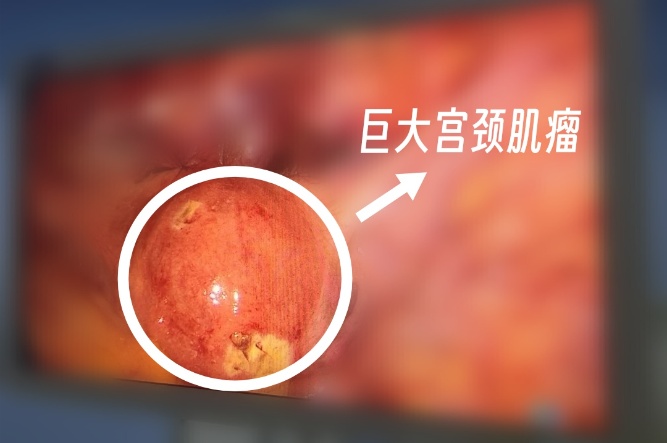 微信图片_20250407112409_副本.jpg