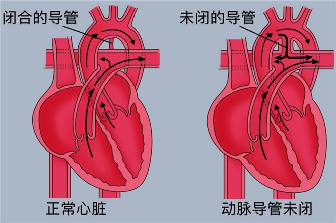 微信图片_20250623170516_副本.jpg