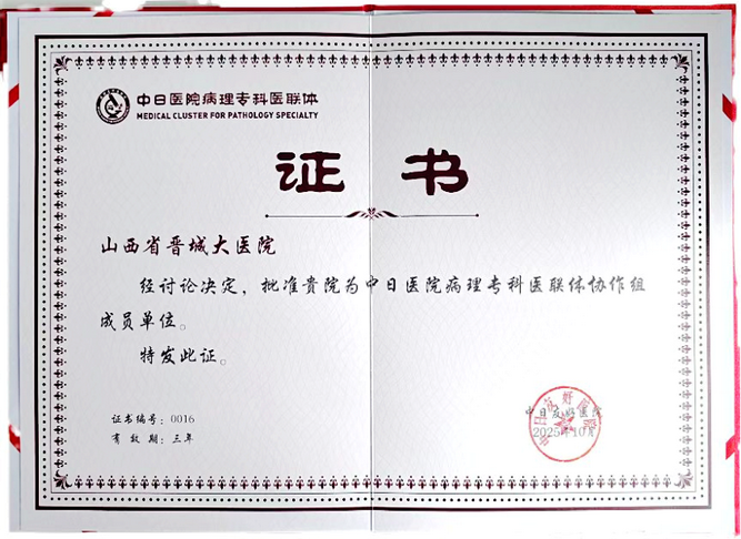 2稿图-我院成为北京中日友好医院病理专科医联体协作组成员单位.png 2稿图-我院成为北京中日友好医院病理专科医联体协作组成员单位.png