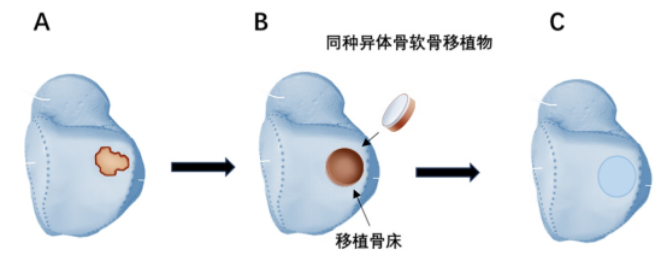 微信图片_20260928090749_231_2_副本.png